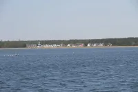 Idyllisches Ferienhaus auf dem Deich wartet