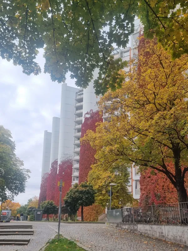 Immobilienverwaltung Wottschal übernimmt 2026 verstärkt WEGs mit Sanierungs- und Modernisierungsstau