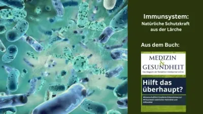 Immunsystem: Natürliche Schutzkraft aus der Lärche