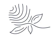 Individual Beauty - Individuelle High-End-Behandlungen in Wien