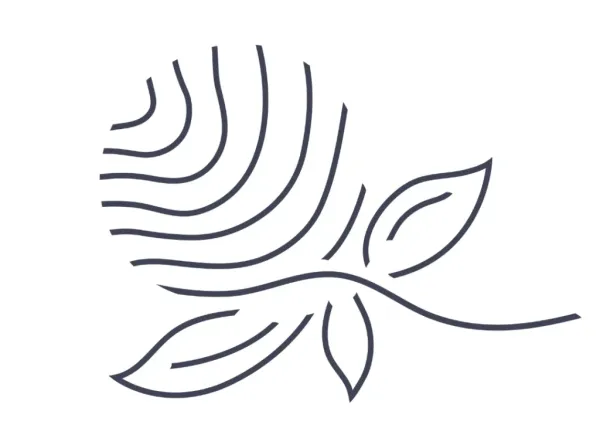 Individual Beauty - Individuelle High-End-Behandlungen in Wien