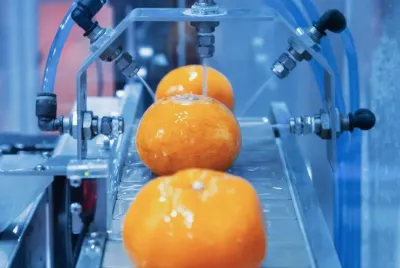 Industrieanlage zur Verarbeitung von Orangen Calciumsulfonat-Schmierfette ohne PFAS