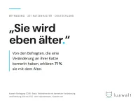 "Sie wird eben älter" - warum Katzenhalter Warnzeichen richtig sehen und trotzdem falsch deuten