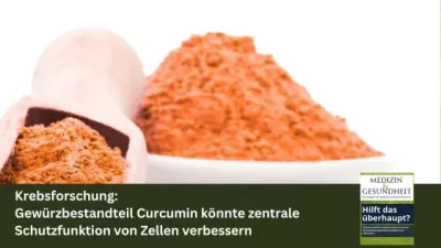 Krebsforschung: Gewürzbestandteil Curcumin könnte zentrale Schutzfunktion von Zellen verbessern Krebsforschung: Gewürzbestandteil Curcumin könnte zentrale Schutzfunktion von Zellen verbessern
