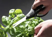 Kyoceras Liebling des Monats - Küchenschere CSL-07-WH-BK