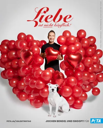 "Liebe ist nicht käuflich!": Moderator und Autor Jochen Bendel präsentiert buntes PETA-Motiv zum Val "Liebe ist nicht käuflich!": Moderator und Autor Jochen Bendel präsentiert buntes PETA-Motiv zum Valentinstag