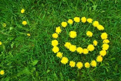 Das Life Coaching der HELP Akademie -
