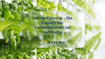 Indoor-Farming - Die Zukunft der Landwirtschaft ist nachhaltig