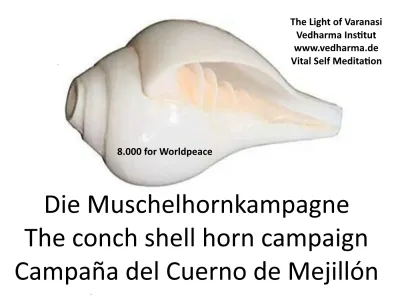 Ankündigung, historische Veranstaltung - Die Muschelhornkampagne