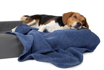 Nachhaltige Hundedecken - die natürliche Alternative