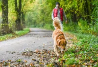 Nasses Herbstlaub kann Bürgersteige schnell in rutschige Flächen verwandeln. Foto: HUK-COBURG Nasses Herbstlaub bringt Passanten ins Rutschen: Wer haftet bei Unfällen?