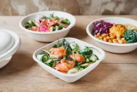 Sabert führend bei Verpackungen aus Zellstoff