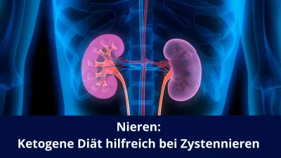 Nieren: Ketogene Diät hilfreich bei Zystennieren