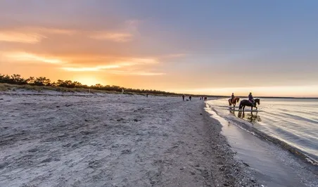 Nur noch zwei Baugrundstücke am Meer GEGEN GEBOT