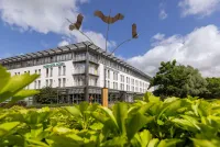 Parkhotel Rügen erhält Auszeichnung "Vier Sterne Superior" - Qualität, Service und Vielseitigkeit bestätigt