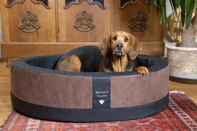 Mega bequeme Hundekörbe - Dein flauschiger Vierbeiner wird sie lieben!"