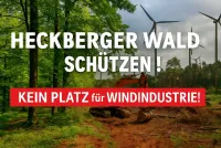 Petition zum Schutz des Heckberger Waldes gestartet
