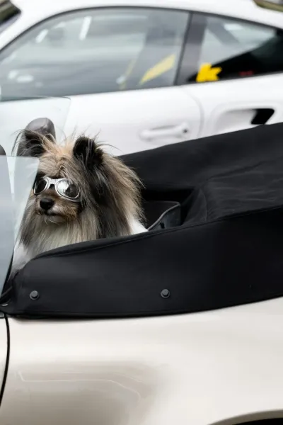 Porsche hat bereits porsche.my registriert Machen Sie es wie Nivea und Porsche: Holen Sie sich Ihre My-Domain