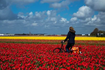 Radfahren im Bluemenmeer Entspannen in Zandvoort: Badeort lockt mit besonderen Frühlings-Highlights