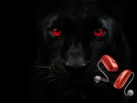 ReSound Vivia: Kampagne bringt Hörtest und Beratung vor Ort zusammen