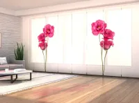 Neu­er Schiebegardinen-Shop "Schiebegardinen365.com" eröffnet 