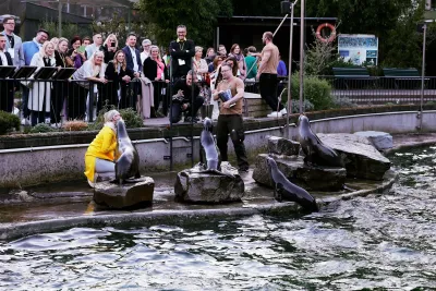 Warum ist Networking in einem Zoo so einzigartig? ILLERHAUS hat die Antwort!