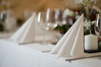 Effizienz trifft Eleganz: Point-to-Point Servietten als Game Changer im Gastgewerbe