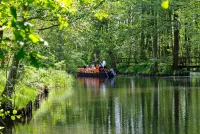 Spreewald neu gedacht: spreewald-info.de startet neu
