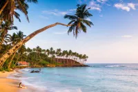 Traumreiseziel Sri Lanka - Mehr als ein klassisches Reiseziel