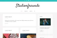 stadionfreunde.de Stadionfreunde: Fußballkultur zwischen Leidenschaft und Loyalität
