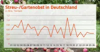 Regen entscheidend für Streuobsternte 2026: 450.000 Tonnen erwartet