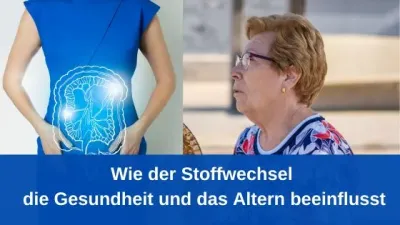 Wie der Stoffwechsel die Gesundheit und das Altern beeinflusst Wie der Stoffwechsel die Gesundheit und das Altern beeinflusst