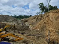 Sranan Gold trifft erneut hochgradig: 10,88 g/t - Bohr-Offensive in Suriname