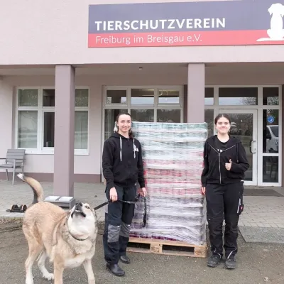 Tierheim Tierfutter liefert 1.850 Dosen kostenloses Futter