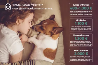 Tierheimat - die beste Wahl für Tierfreunde Tiervermittlung mit Herz - Die Plattform von Tierheimat für Tierfreunde