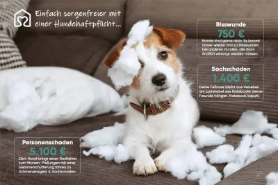 Tierversicherung von Tierheimat - Finanzielle Sicherheit für Haustiere