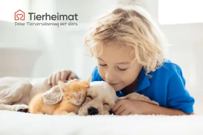 Sichere Tiervermittlungs-Plattform - Hier findet man perfektes Haustier!