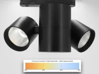 Tunable White Galeriebeleuchtung für perfekte Lichtstimmung