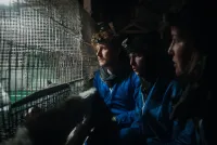 ANINOVA dokumentiert Tierquälerei auf finnischen Pelzfarmen - Millionenfach gesehene Aufnahmen schockieren