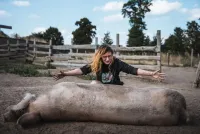 ANINOVA-Stiftung fördert neuen Stall für gerettete Tiere auf dem VidaHof in Kleve (NRW) 