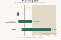 Wenn wenig bleibt: Warum Größe beim Abschied von Haustieren keine Rolle spielen sollte