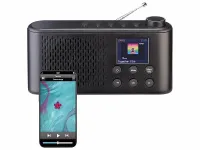 VR-Radio Mobiles Akku-Digitalradio mit DAB+/FM