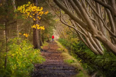 Wandern im bunten Herbstlaub im Wald De Dennen Kunterbunter Spätsommer: Texels Natur verzaubert mit schönster Farbpracht