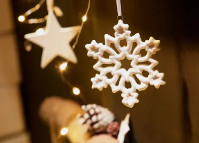 Weihnachtsdekoration von Erwin Müller Die Weihnachtswelt von erwinmueller.de hat eröffnet