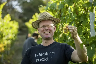 Weinlese im Wettlauf mit der Zeit