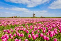 Moderner Standort: Nordholland Nord präsentiert sich auf der Grünen Woche