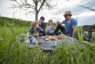 In Wiesen und an Waldrändern fühlen sich Zecken wohl. Foto: HUK-COBURG Zecken: Klein, aber gemein