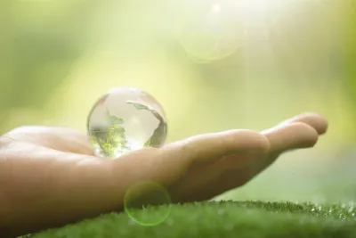 Wurzer Umwelt Wurzer Umwelt - Engagement für Umwelt und Gemeinschaft