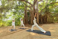 &bdquo;Bring Your Own Yoga&ldquo;: SwaSwara öffnet seine Retreat-Bereiche für internationale Yogalehrer