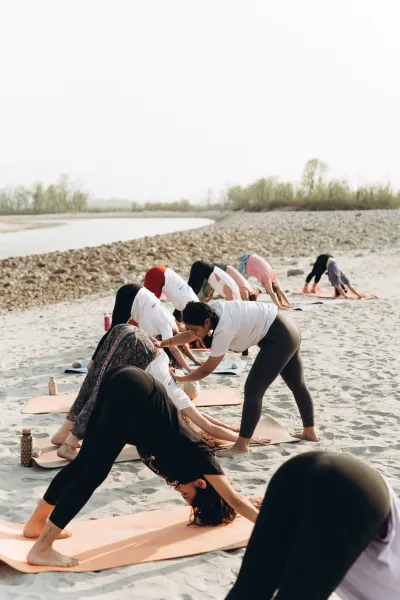 Yoga Teacher Training und Neuroplastizität